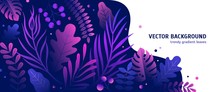 Trendy Natural Horizontal Background With Gradient Colored Lush Tropical Vegetation, Exotic Leaves Or Jungle Foliage And Place For Text. Modern Botanical Vector Illustration For Advertisement.