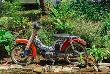Old Motorcycle Parked Next To A Forest Park In Thailand.