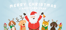 Santa Claus With Cat And Dogs, Christmas, Winter And New Year Celebration