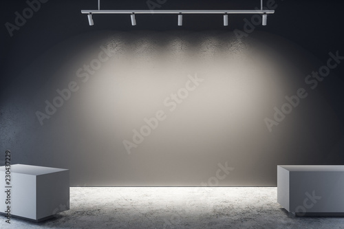 Fotomural New gallery with empty poster