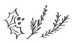 © timonko - Christmas decorative branch elements design floral leaves in scandinavian style. Vector handdraw illustration for xmas greeting card