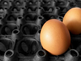 Focus on fresh chicken eggs on black panel plastic eggs in healthy food concept, close up shot and blur background