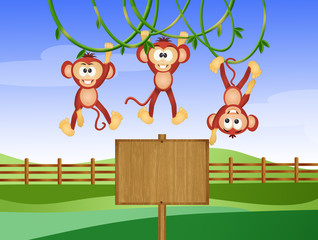 Poster - illustration of monkeys 