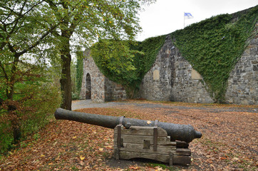 Wall Mural - Kanone vor Schlossarnsberg