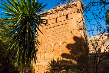 Wall Mural - Ruins of the ancient necropolis of Kellah Chellah in the city of Rabat, Morocco in Africa