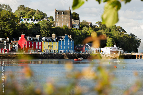 Cuadros en Lienzo Tobermory town, capital of the Isle of Mull in the Scottish Inner Hebrides, Scot