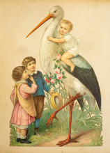 Vintage Nostalgie Retro Kinder Mit Storch, Klapperstorch Um 1880- 1900