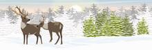 A Pair Of Reindeer On A Snowy Northern Plain Near The Spruce Forest. Wild Animals Of The North, USA, Canada, Russia And Scandinavia. Realistic Vector Landscape