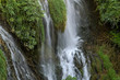 Cascades of mountain waterfalls among green plants