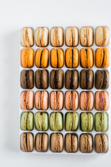 Assorted French Macarons