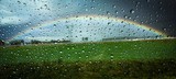 Fototapeta Tęcza - Tęcza w kroplach deszczu