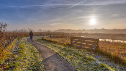 Poster - Walking track in misty polder landscape