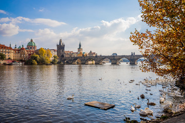 Poster - Le Pont Charles de Prague