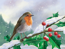 European Robin Perched On A Branch In A Snowy Landscape
