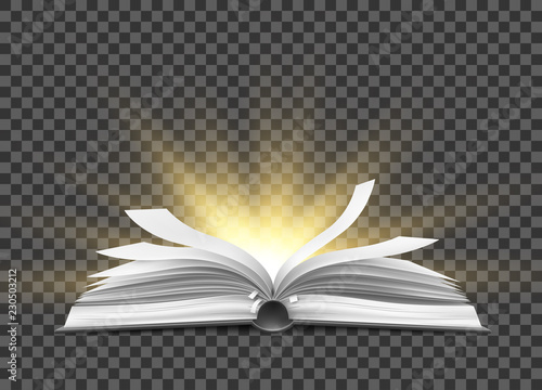 Cuadros en Lienzo Vector realistic open book with fluttering pages