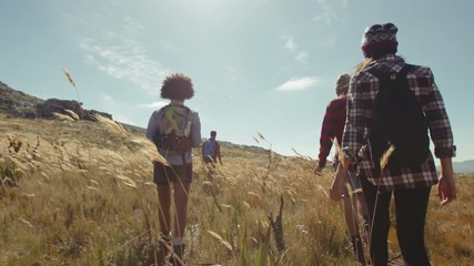 Wall Mural - young people walking through grassy fields in countryside