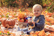 Family Picnic In The Autumn In The Forest. Portrait Of A Small Child, A White-haired Boy Among Yellow Foliage, Laughs And Holds A Cone In His Hands, Plays Wooden Toys, Next To A Pumpkin 