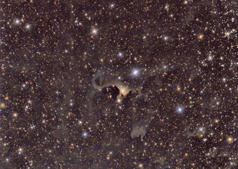 Wall Mural - imaged with a telescope and a scientific ccd camera