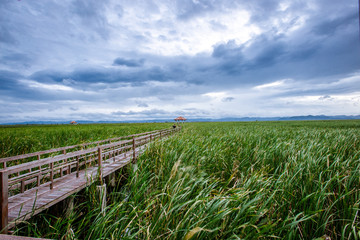 Backgrounds of green pastures, high mountains, large surrounds, natural wallpapers close. There is a long wooden bridge overlooking the surrounding scenery.