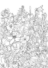  vector drawing background with flowers