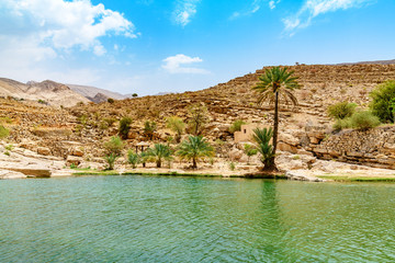 Wall Mural - Wadi Bani Khalid in Oman. It is located about 203 km from Muscat and 120 km from Sur.