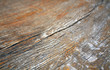 © pavelalexeev - Brown color old log cut macro.