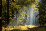 Fototapeta Krajobraz - jesień na Mazurach