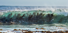 Seaweed Through The Surf Wave. Cape Of Good Hope. South Africa.