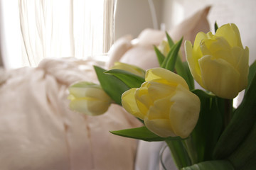 Wall Mural - yellow tulip beside the bed