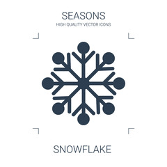 Poster - snowflake icon