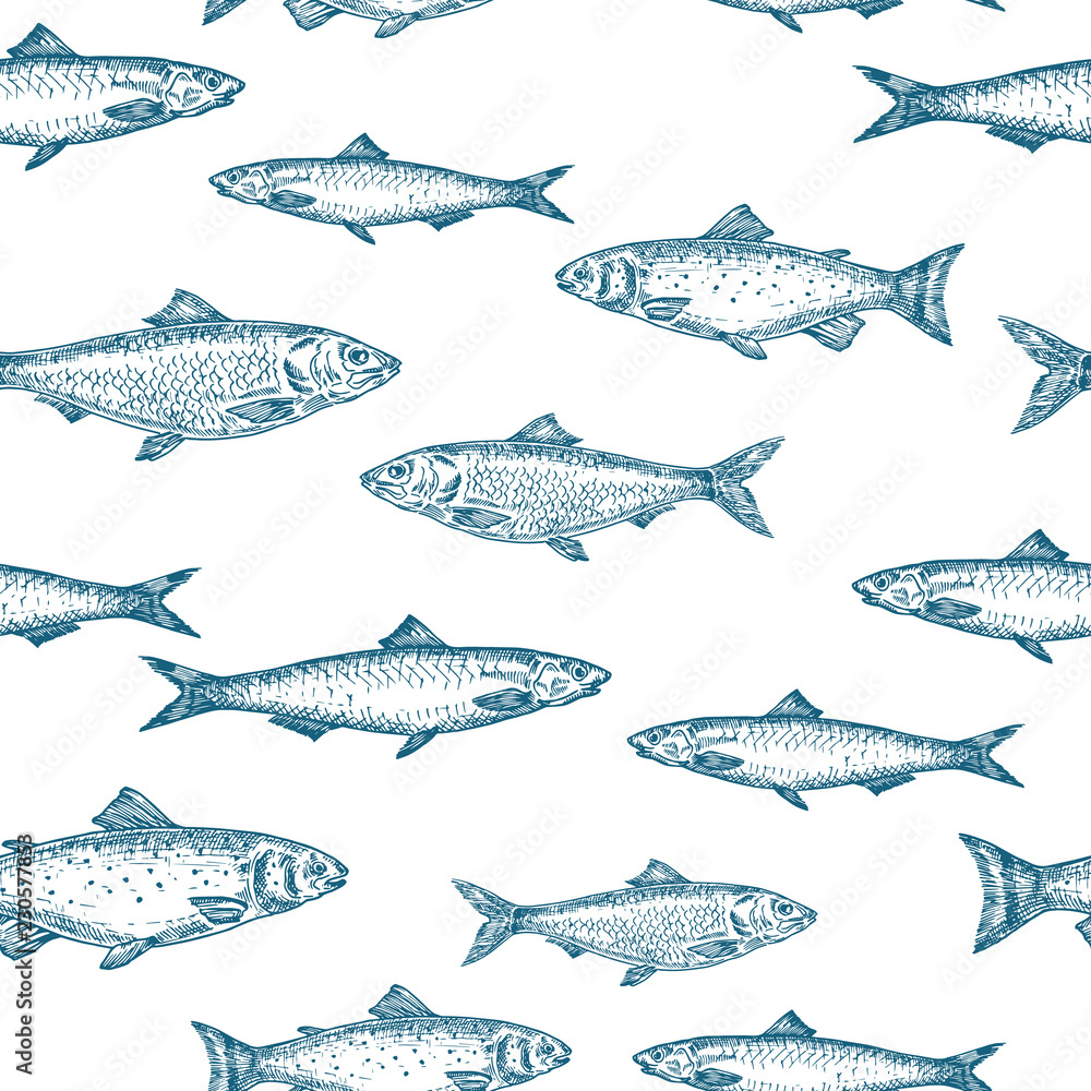 Hand Drawn Fish Vector Seamless Background Pattern. Anchovy, Herrings, and Salmons Sketches Card or Cover Template in Blue Color. - obrazy, fototapety, plakaty 