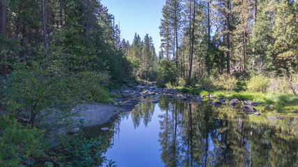 Wall Mural - Yosemite Park