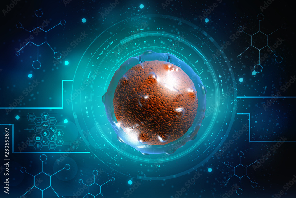 Cell. 3D rendering. Cells under microscope Stock Illustration | Adobe Stock