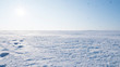 Leinwandbild Motiv A Field covered with a snow in winter season. Winter countryside landscape.