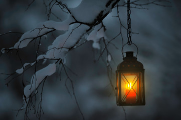 Lantern hanging from snowy tree branch