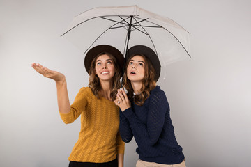 Sticker - Image of two gorgeous women wearing hats standing under umbrella, isolated over gray background