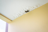 Fototapeta  - Damaged ceiling from water leak in rainy season