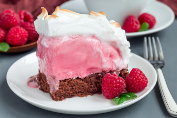 Piece of baked Alaska with chocolate sponge cake, raspberry ice cream and meringues, on a white plate, horizontal