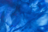 Fototapeta Konie - dark blue splashes of alcohol ink as abstract background