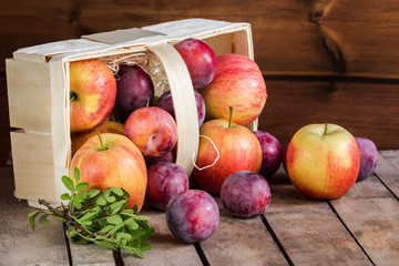 Gifts of autumn: apples and plums in a basket on a wooden background, autumn composition, harvest