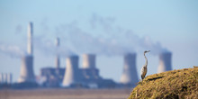 Landscape With A Grey Heron And Power Station With Pollution In The Background