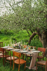 wedding decorated table, decor wedding dinner in nature in the garden