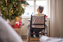 A Rear View Of A Senior Woman In Wheelchair At Home At Christmas Time.