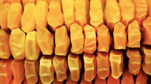 Texture Of Yellow Dried Kernels Of Ripe Corn Cob.
