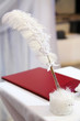 © Хорина Наталья - beautiful big white feather for painting the bride and groom at the wedding