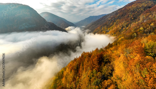 Dekoracja na wymiar  mglisty-jesienny-poranek-w-lesie-w-dolinie-jiului-w-transylwanii
