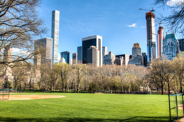 Wall Mural - Central Park in downtown Manhattan with the New York City skyline in the background
