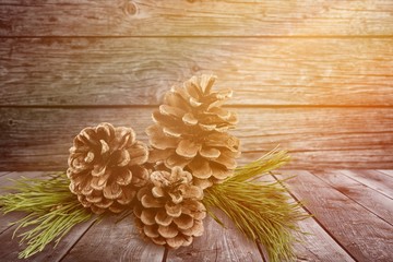 Canvas Print - Pine cones with branch on a desk