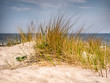 © BERLIN-BELICHTET.DE - Dünengras Ostsee
