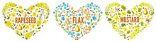Hearts Of Flower Rapeseed, Flax, Mustard  For Packaging Design And Advertising. Isolated Vector Illustration  On White Background.